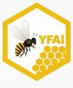 YFAI Logo